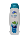 SHAMPO CONTROL CASPA X 450 ML MEICY