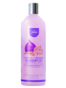 SHAMPO MORADO CEBOLLA CANELA Y JENGIBRE X 500 ML JEMILU