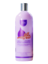 ACOND MORADO CEBOLLA CANELA Y JENGIBRE X 500 ML JEMILU