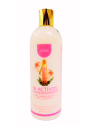 ACOND 16 ACTIVOS X 500 ML JEMILU