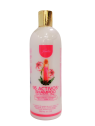 SHAMPO 16 ACTIVOS X 500 ML JEMILU
