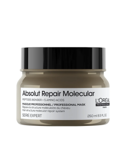 MASK ABSOLUT MOLECULAR X 250 ML LOREAL PROF