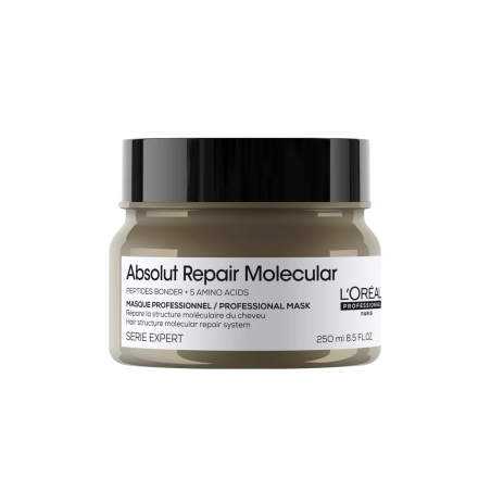 MASK ABSOLUT MOLECULAR X 250 ML LOREAL PROF
