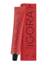 TINTE 1.1 IGORA PROF