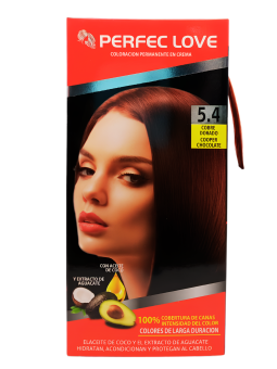 TINTE PERFEC LOVE 5.4 X 1 TUBO