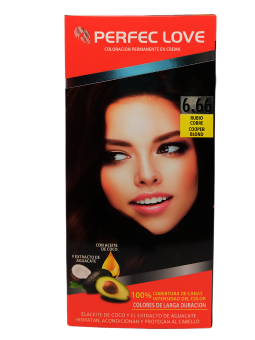 TINTE PERFEC LOVE 6.66 X 1 TUBO