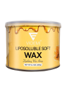 CERA WAX MIEL X 400 GR VIOEMI BGI