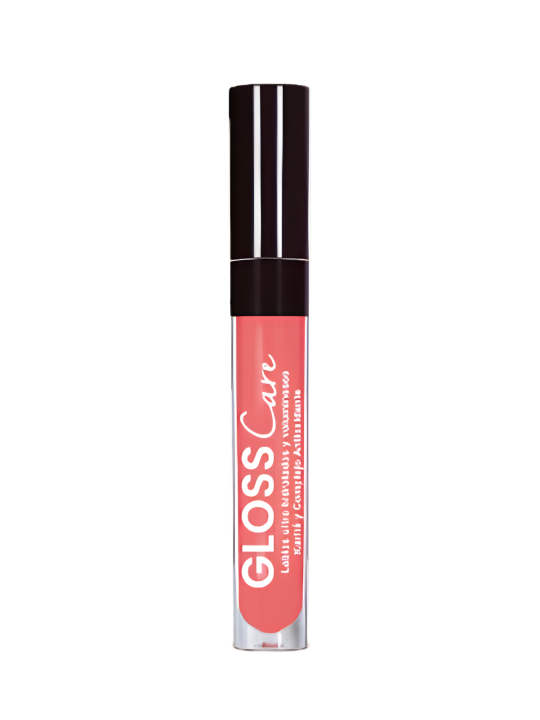 BRILLO LABIAL GLOSS CARE PINK ANA MARIA