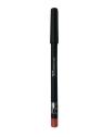 LAPIZ DE LABIOS MELON SMART PRO