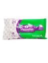 PAÑITOS HUMEDOS ALOE X 24 PEQUEÑIN