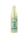 TTO SALERM 21 POTE X 250 ML
