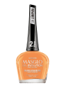ESMALTE GEL EVOLUTION GUAPACHOSA MASGLO