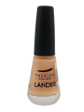 ESMALTE TRASLUCIDO N 05 X 11 ML LANDER