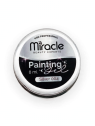 PAINT GEL SATURACION SILVER X 8 ML PREMIUN MIRACLE