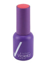 ESMALTE 060 VIOLETA