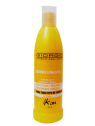 ACOND KERA TODO TIPO CABELLO X 350 ML GIORGIO