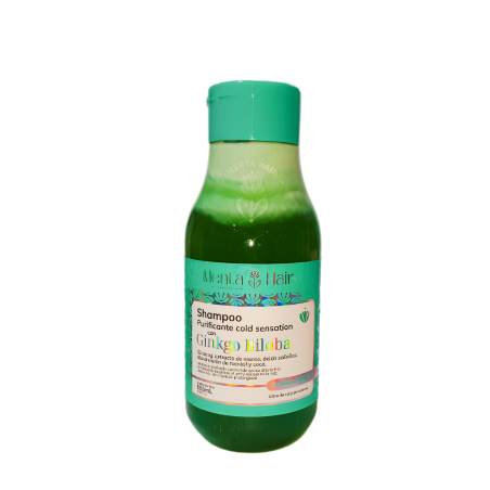 SHAMPO PURIFICANTE GINKGO BILOBA X 550 MENTA