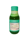 SHAMPO PURIFICANTE GINKGO BILOBA X 550 MENTA