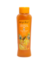 SHAMPO COCTEL FRUTAL X 500 ANYELUZ