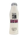 ACON LISS CONTROL X 300 ML RECAMIER